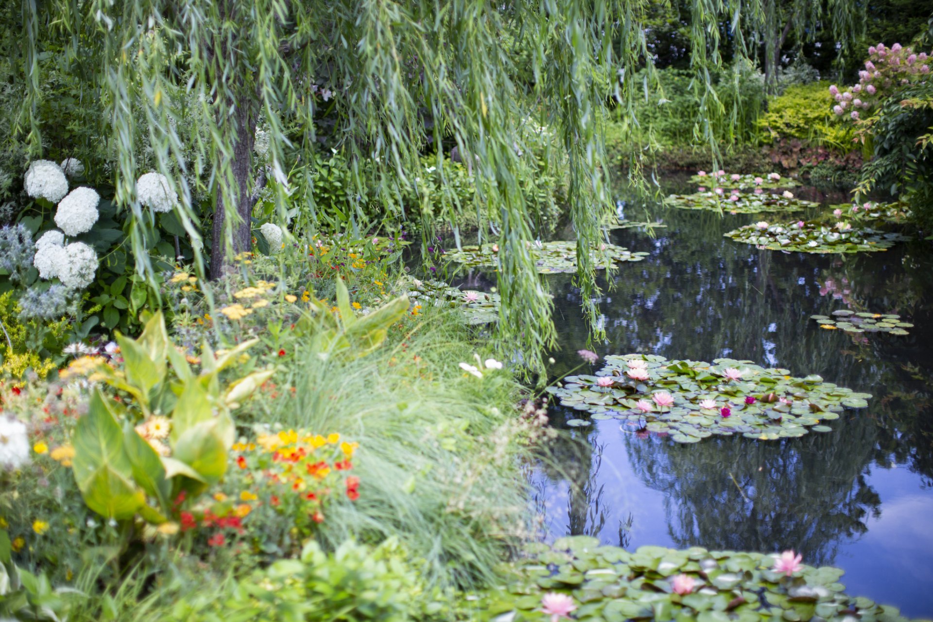 Beautiful Green Garden With Pond