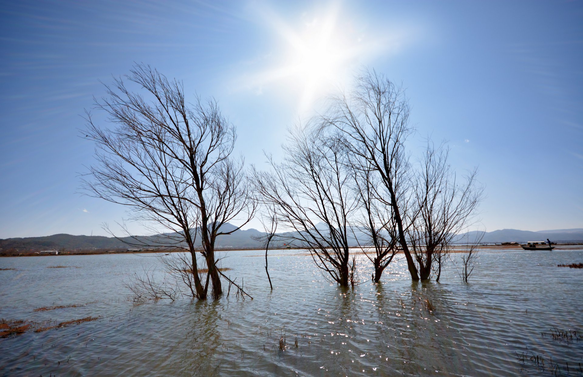 flooded lake 