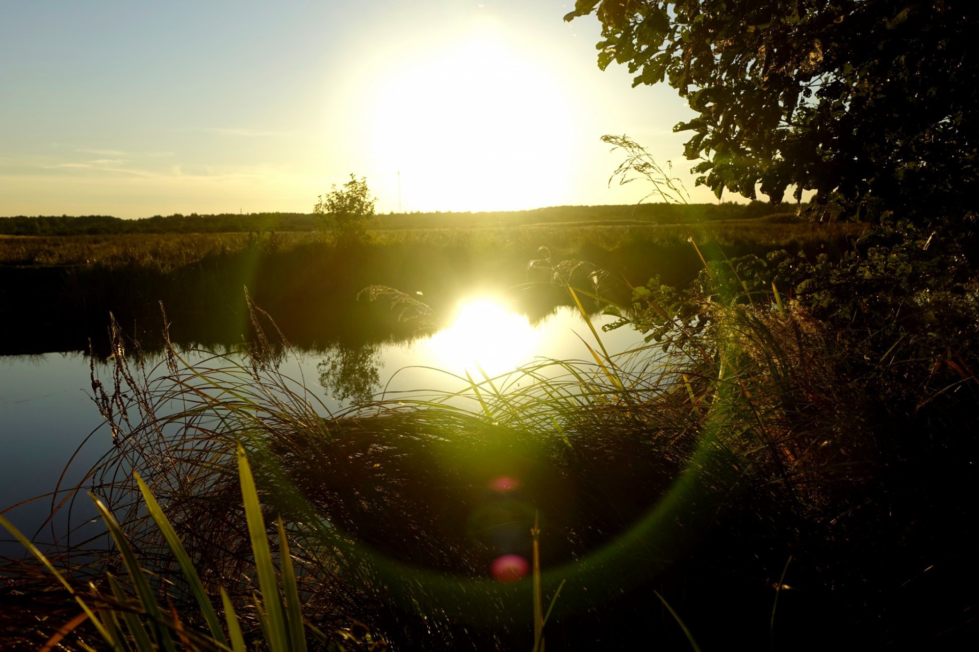 River Bank Overgrown With Plants Setting Sun Creating Green Halo Lens