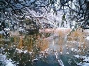 Winter pond care tips | The Aqua Contractor