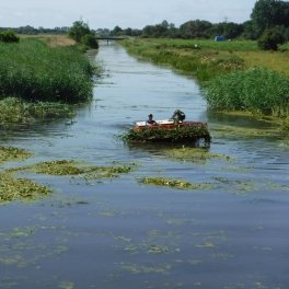 On irrigation channels & canals, clearing weed is a vital job