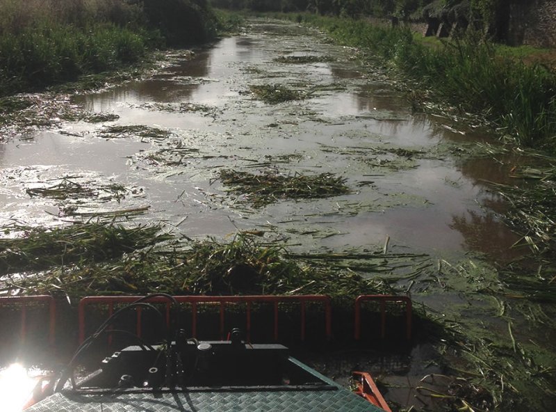 Canal Weed Clearance